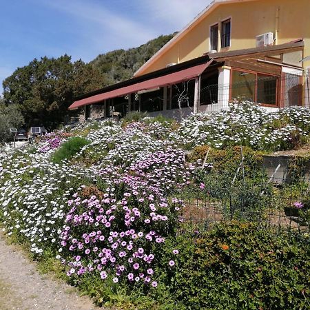 Il Lentischio Hotel Cala Sapone Exterior foto