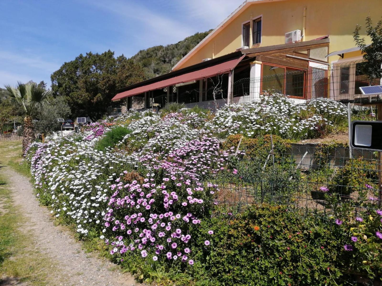 Il Lentischio Hotel Cala Sapone Exterior foto
